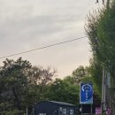 용인대학로 2L | [용인맛집] 송전장어직판장 후기, 부모님 모시고 실패 없는 외식 핵심 팁!