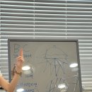 핑거네이션