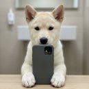 요셉목장 | 2025年 12月