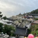 해동 산 곰장어 이미지