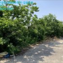 월악리 마을회관 이미지