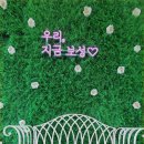 율포솔밭해수욕장 이용 꿀 팁, 보성 아이스크림 맛집 소개 등