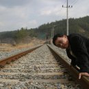 고향에봄 이미지