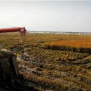 신활농장 이미지