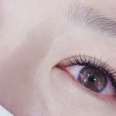 JC소프트 이미지