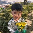 지구친구 - 소국을 심어요🌼 이미지