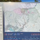경남 합천 가볼만한곳 / 황매산 억새축제 개화상황 등산코스 별보며 일출등산(Feat.정상주차장 최단코스)