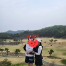 이남주자연아래버섯 이미지