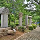 동래정씨 약사불 이미지