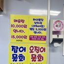 종일활어 이미지