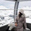 올리비아 이미지