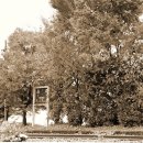 원죽마을회관 이미지