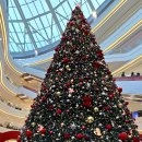 타임스케어 이미지