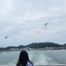 대일민박 이미지