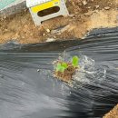 해성꽃농원 이미지