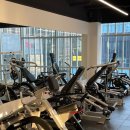 클리어짐 이미지