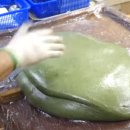 돌쇠떡고을 | 생방송 오늘저녁 망원시장 백년초 꿀떡 맛집 마포 돌쇠떡고을 떡집