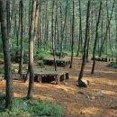 자연휴양림 관리사무소 이미지