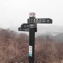 (주)동양해외관광 이미지