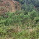 대원가축병원 이미지