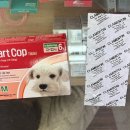 성진약국 이미지