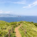 제주도닷컴 | 제주렌트가격비교 제주도닷컴 편리했던 이용 후기