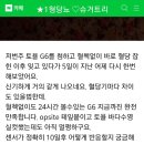 연속혈당 측정기 최신버전 G6 이미지