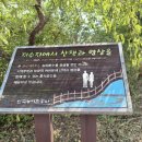 아중도서관 화장실 이미지