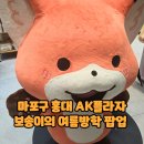 애경크록스 | 마포구 홍대 ak플라자 보송이의 여름방학 팝업 후기😍