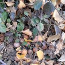 소박농장 이미지