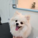 천사미용실 이미지