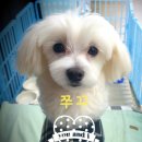 인성모터스 이미지