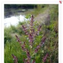 백화초등학교 이미지