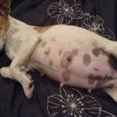 여수동물약국 이미지