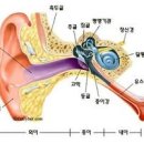 귀가 먹먹할때 한쪽 귀 먹먹 원인과 먹먹함 예방 관리팁 이미지