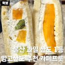 뚜레쥬르달동 | 울산 과일 산도 맛집 카페프룻 후르츠 망고산도 먹어본 곳 중 1등 내돈내산 솔직후기 및 비교