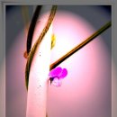 설화사슴목장 이미지