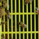 정재원농장 이미지