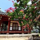 봉산면001 네이버블로그
