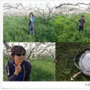 의석농장 이미지