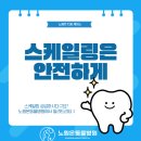 권동물병원 | 노원구 스케일링 잘하는 동물병원 - 노원온동물병원