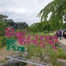 유구시장 | 굳이 찾아갈 필요는 없었는데 —지나가다 들른 공주 유구 수국축제