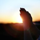 쌍용메디칼 이미지