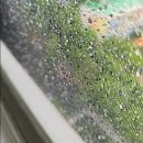 중원-111 | 성남레미안금광 아파트 111동 낡은 방충망은 이제...이어진 미세발수망 교체 후기 청년방충망 강동점