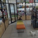 아름드리동물병원 네이버블로그