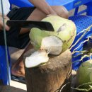 천연음료 코코넛~ 이미지