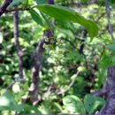 함지박골 이미지