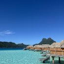 보라보라 이미지