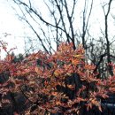 팔각정 공원 이미지