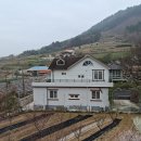 선학농장 티스토리